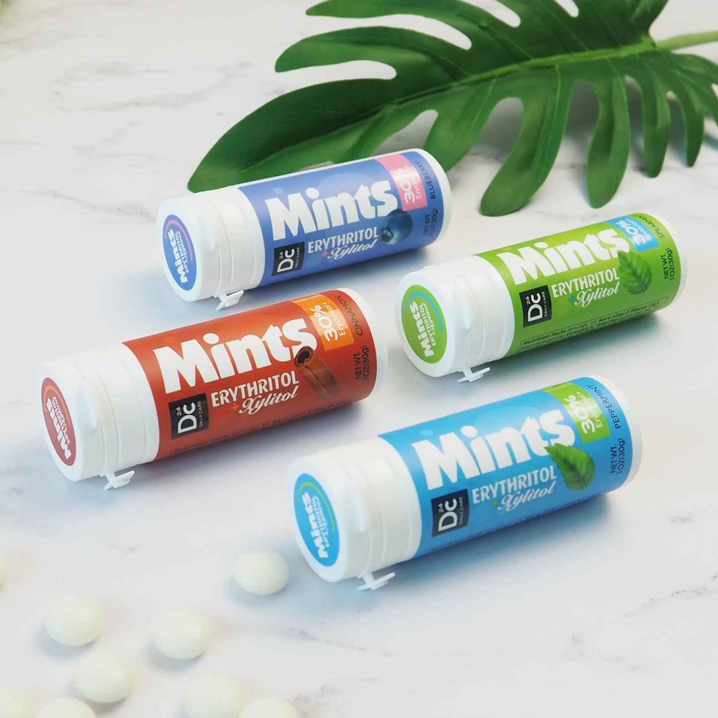 DC24 Daily Care Mixed Mints (Pack of 4)