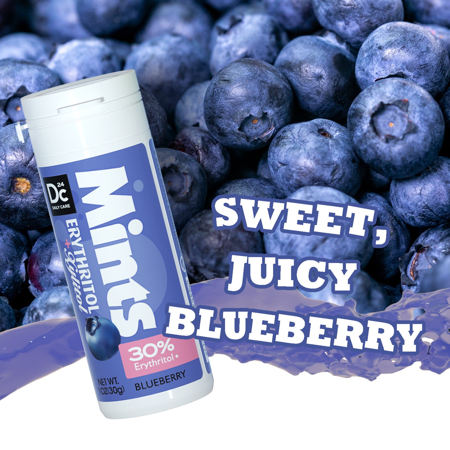 DC24 Daily Care Blueberry Mints (Pack of 4)