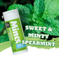 DC24 Daily Care Spearmint Mints (Pack of 4)