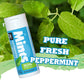 DC24 Daily Care Peppermint Mints (Pack of 4)